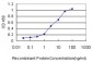 G22P1 Antibody (monoclonal) (M01)