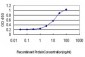 GABBR1 Antibody (monoclonal) (M01)