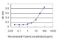 GABPA Antibody (monoclonal) (M03)