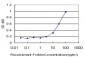 GABPA Antibody (monoclonal) (M05)