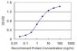 GAPDH Antibody (monoclonal) (M01)