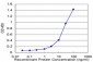 GAPDH Antibody (monoclonal) (M03)