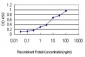 GCG Antibody (monoclonal) (M01)