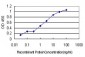 GCH1 Antibody (monoclonal) (M01)