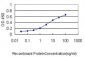 GCLC Antibody (monoclonal) (M01)