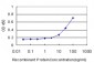 GCLM Antibody (monoclonal) (M01)