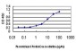 GDI1 Antibody (monoclonal) (M08)