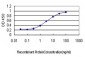 GEM Antibody (monoclonal) (M01)