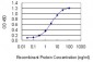 GGT1 Antibody (monoclonal) (M01)