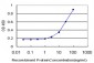 GLI3 Antibody (monoclonal) (M01)