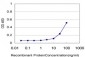 GLP2R Antibody (monoclonal) (M05)