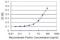 GLS Antibody (monoclonal) (M01)