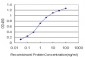 GLUL Antibody (monoclonal) (M02)