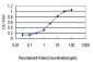 GMPS Antibody (monoclonal) (M01)