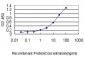 GNA13 Antibody (monoclonal) (M01)