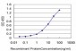 GNAI2 Antibody (monoclonal) (M03)