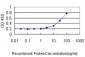 GPR3 Antibody (monoclonal) (M01)