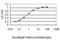 GPR84 Antibody (monoclonal) (M03)