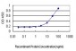 GPR89 Antibody (monoclonal) (M01)