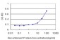 GPT Antibody (monoclonal) (M04)