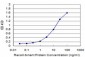 GRIA1 Antibody (monoclonal) (M01)