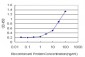 GRM2 Antibody (monoclonal) (M03)