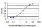 GSTO1 Antibody (monoclonal) (M01)