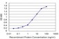 GTF2I Antibody (monoclonal) (M02)