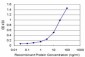 GTF3A Antibody (monoclonal) (M06)