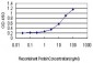 HAVCR1 Antibody (monoclonal) (M01)