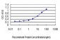 HBB Antibody (monoclonal) (M01)