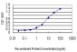 HBB Antibody (monoclonal) (M02)