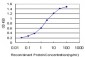 HBXAP Antibody (monoclonal) (M05)