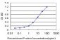 HCLS1 Antibody (monoclonal) (M02)