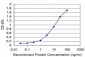 HCLS1 Antibody (monoclonal) (M06)