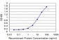 HD Antibody (monoclonal) (M02)