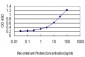 HD Antibody (monoclonal) (M11)