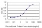 HDAC1 Antibody (monoclonal) (M14)