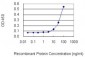 HDAC11 Antibody (monoclonal) (M01)