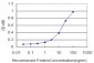 HDAC8 Antibody (monoclonal) (M01)