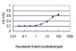 HECW2 Antibody (monoclonal) (M01)