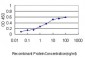 HERPUD1 Antibody (monoclonal) (M01)