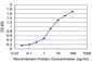 HEY1 Antibody (monoclonal) (M07)