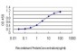 HEYL Antibody (monoclonal) (M02)