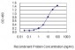 HIF1AN Antibody (monoclonal) (M01)