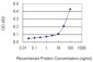 HLA-DPB1 Antibody (monoclonal) (M01)