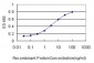 HMGA2 Antibody (monoclonal) (M01)