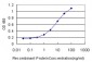 HMGB1 Antibody (monoclonal) (M08)