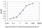 HMGB2 Antibody (monoclonal) (M04)