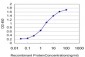 HMGB2 Antibody (monoclonal) (M05)